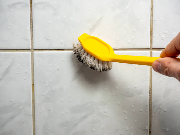 Best Residential Mold Removal  in Pooler, GA