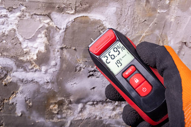 Best Professional Mold Removal  in Pooler, GA