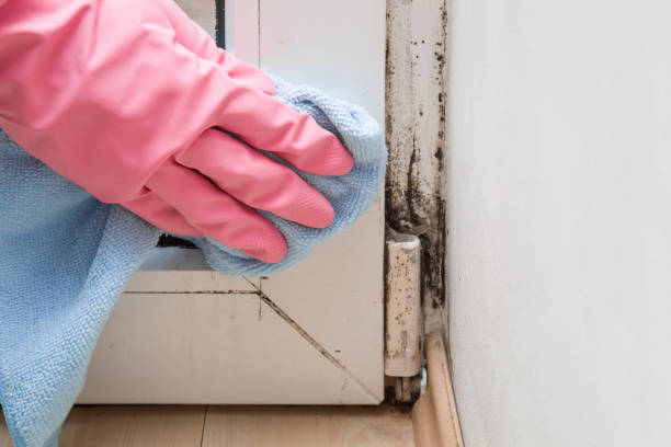 Water Damage Restoration in Pooler, GA